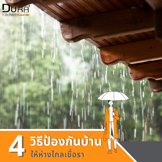 4 วิธีง่ายๆ สำหรับป้องกันบ้านให้ห่างไกลจากเชื้อรา