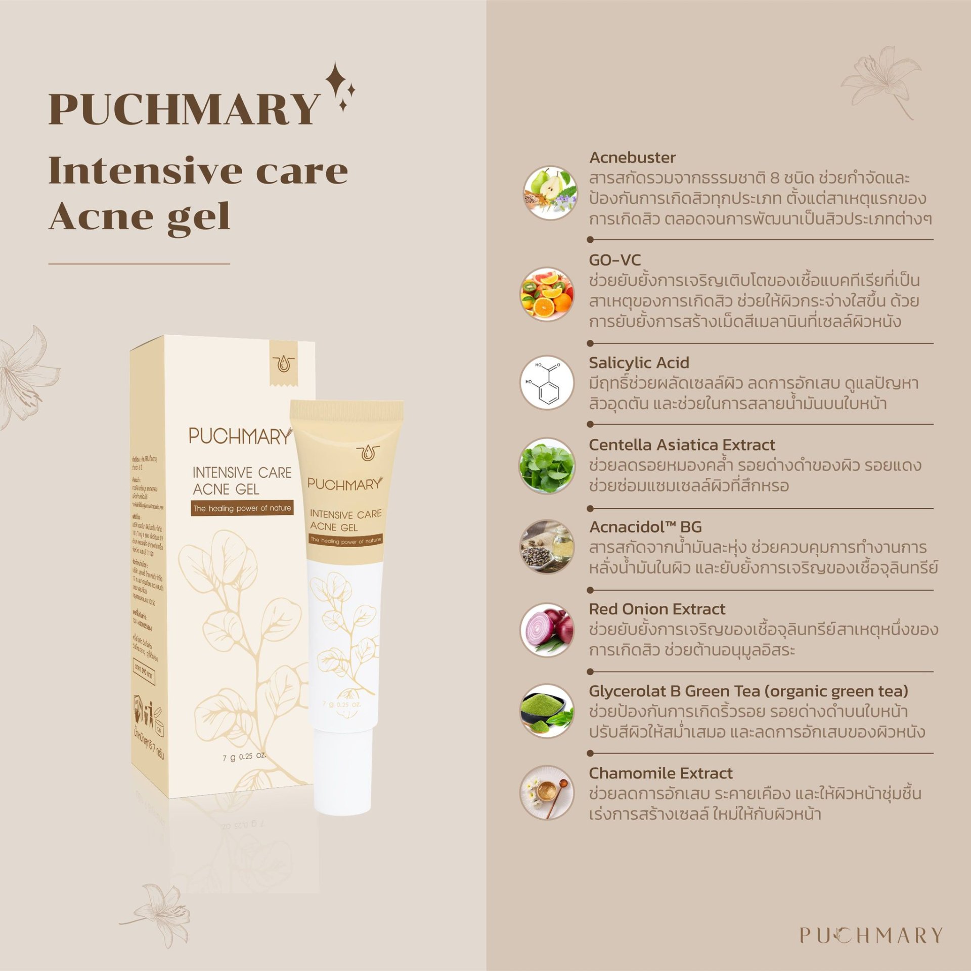 ส่วนประกอบ ส่วนประกอบเจลแต้มสิว