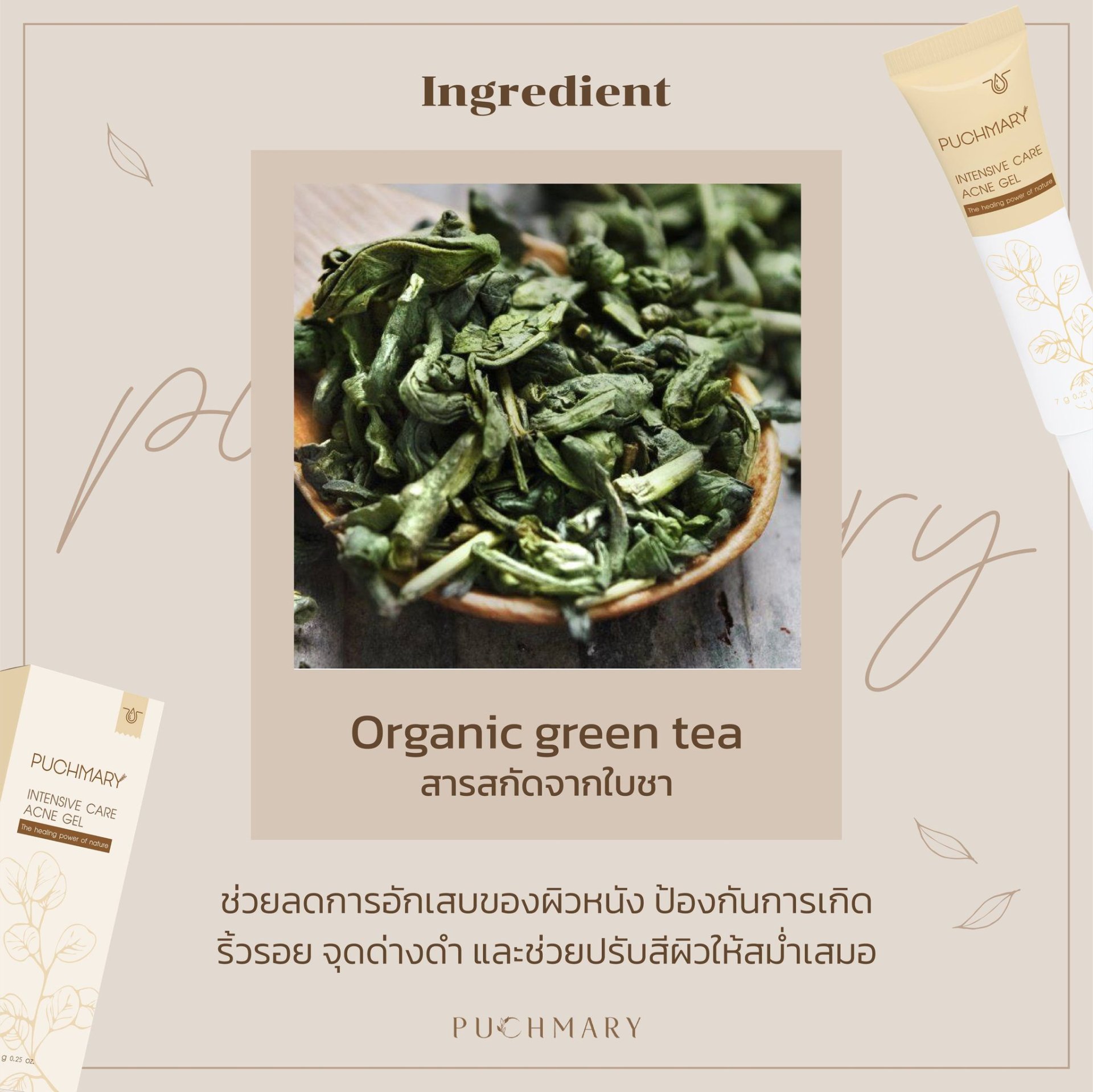 Organic Green Tea Organic Green Tea