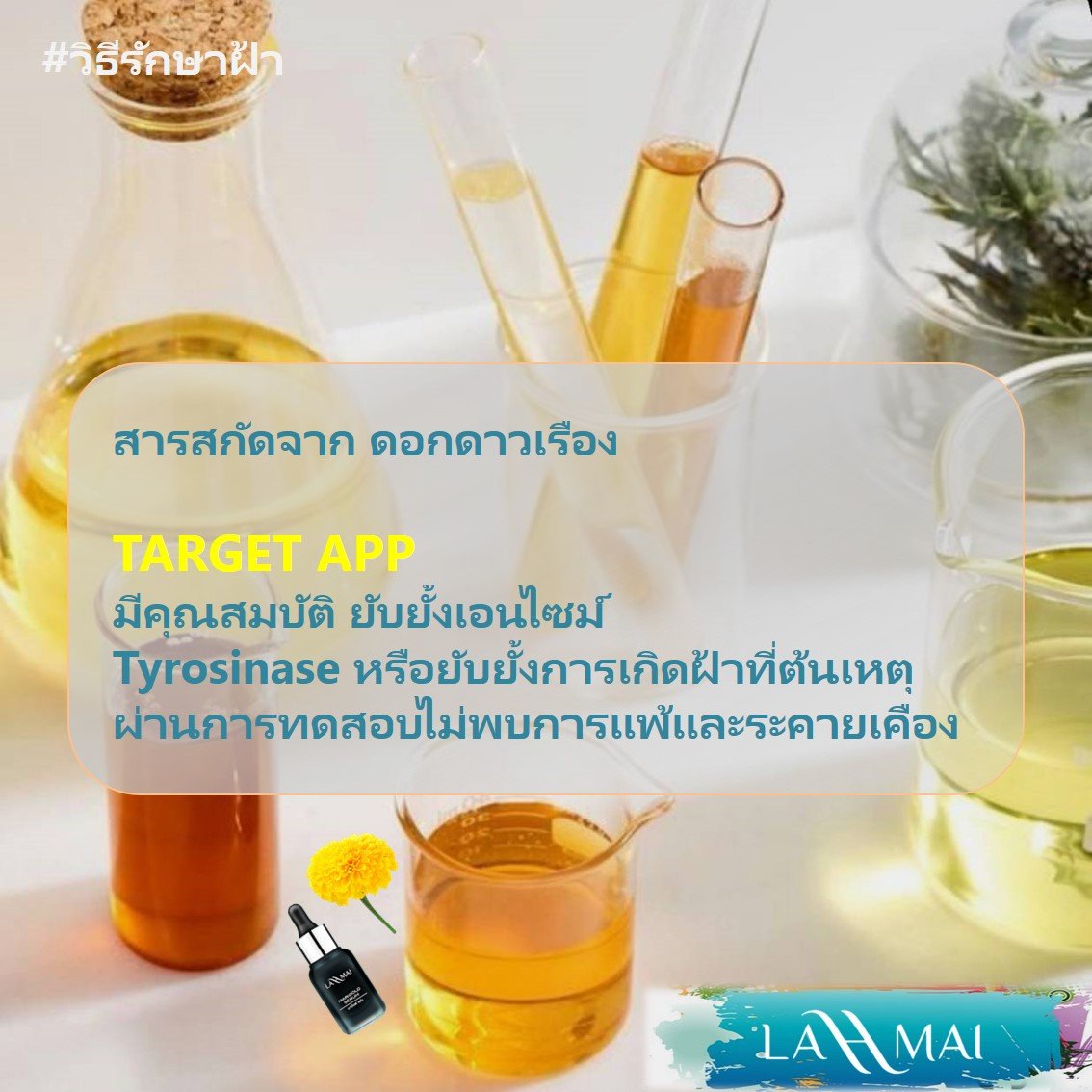 รักษาฝ้าแบบธรรมชาติ แก้ฝ้า