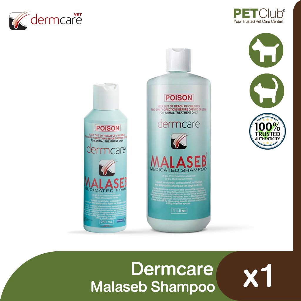 Shampoing médicamenteux Malaseb