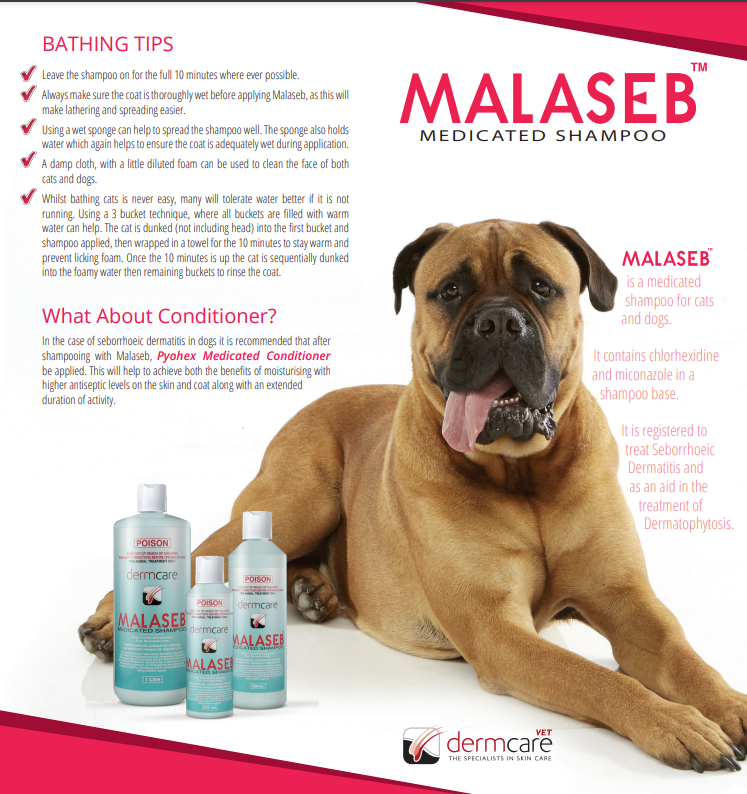 Malaseb Shampoo Per Cani E Gatti 250 Ml - Foto 3