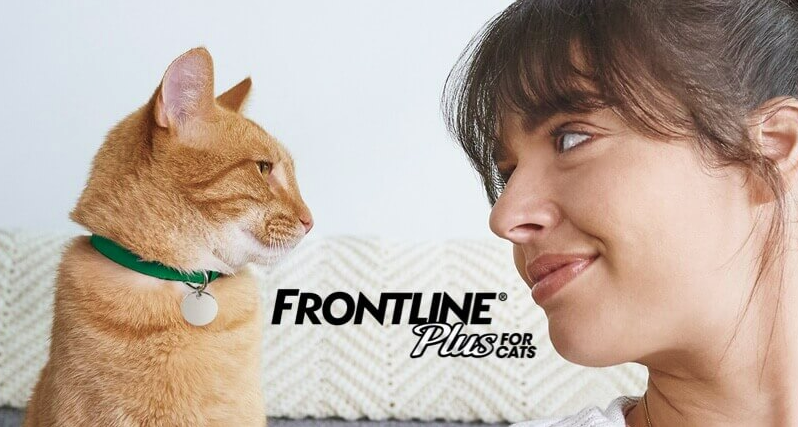 FRONTLINE Plus for Cat - petclub