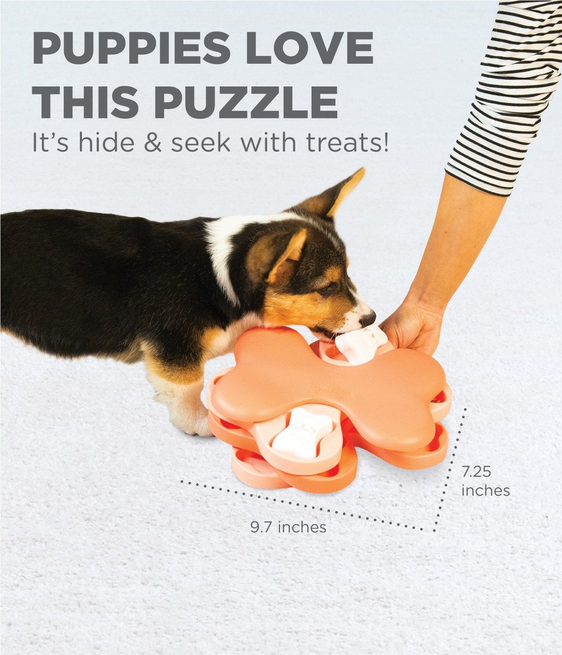 NINA OTTOSSON NINA OTTOSSON Puppy Tornado Interactive Treat Puzzle Dog Toy  - The Fish & Bone