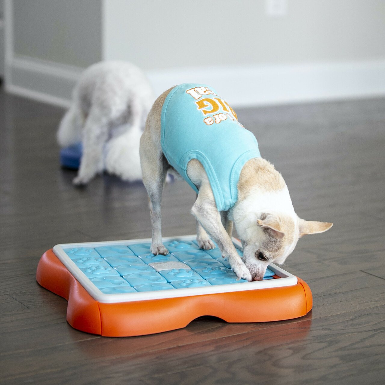 Nina-Ottosson Dog Interactive Toy - Challenge Slider - petclub