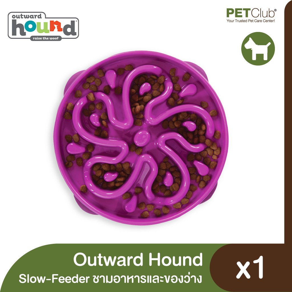 Fun Feeder Purple by Outward Hound