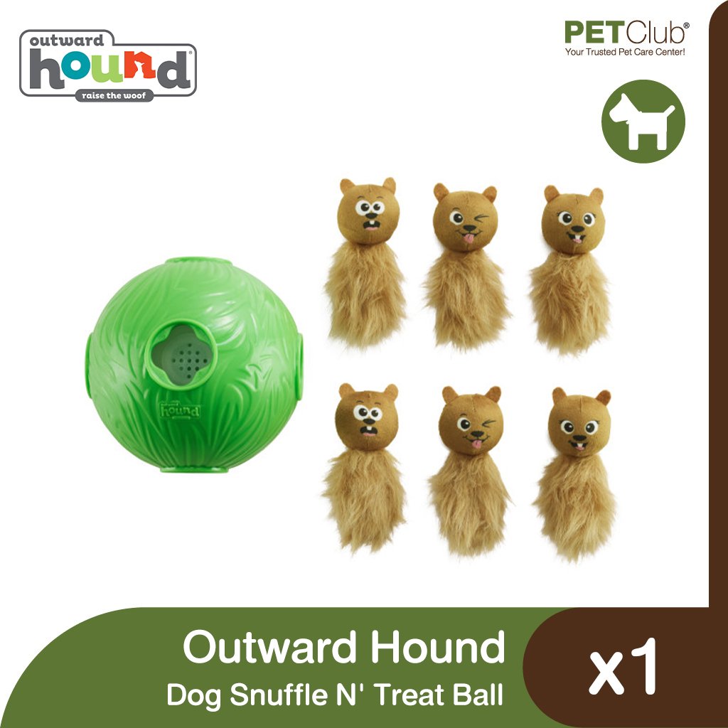 Nina Ottosson by Outward Hound Dog Snuffle N' Treat Ball Puzzle, Green,  One-Size