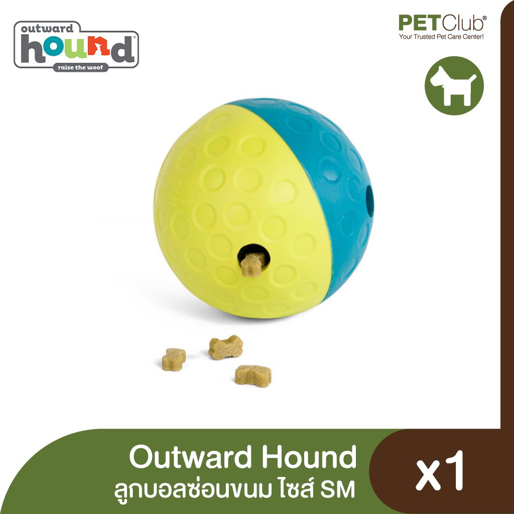 Outward Hound Nina Ottosson A-Maze Ball Interactive Ball Puzzle & Treat  Maze for Dogs