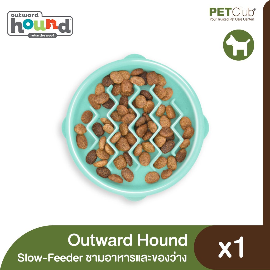 Outward Hound Teal Drop Fun Feeder Interactive Dog Bowl - Pet