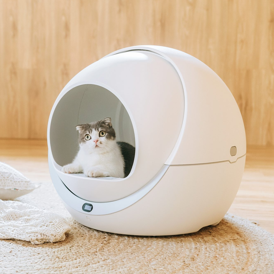 PANDO x Petree - Automatic Cat Litter Box Pro WIFi Version - petclub