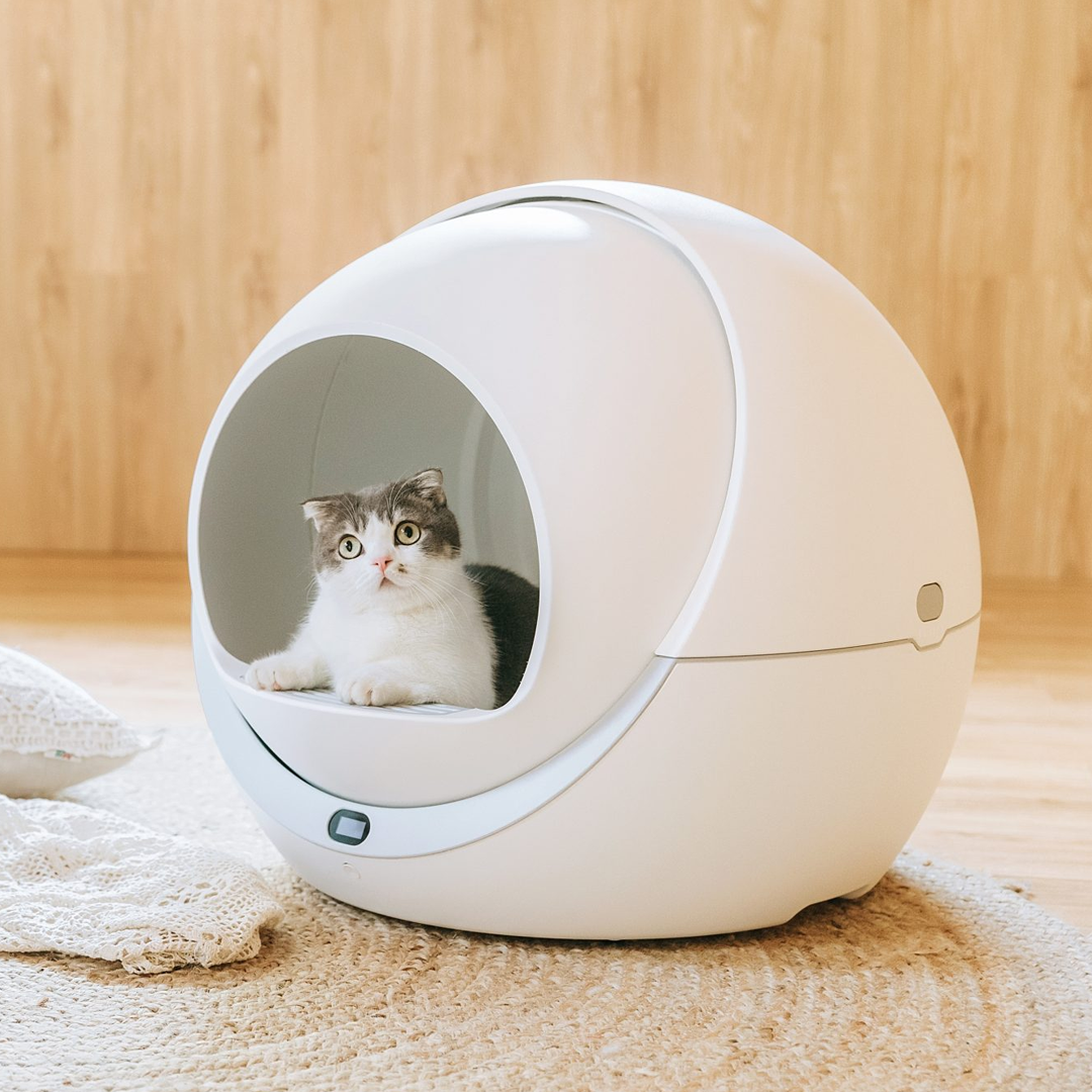 PANDO x Petree Automatic Cat Litter Box Pro WIFi Version