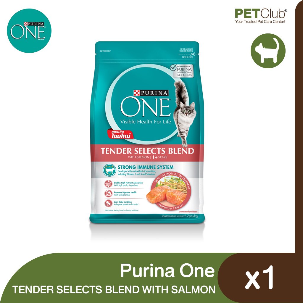PURINA ONE TENDER SELECTS BLEND