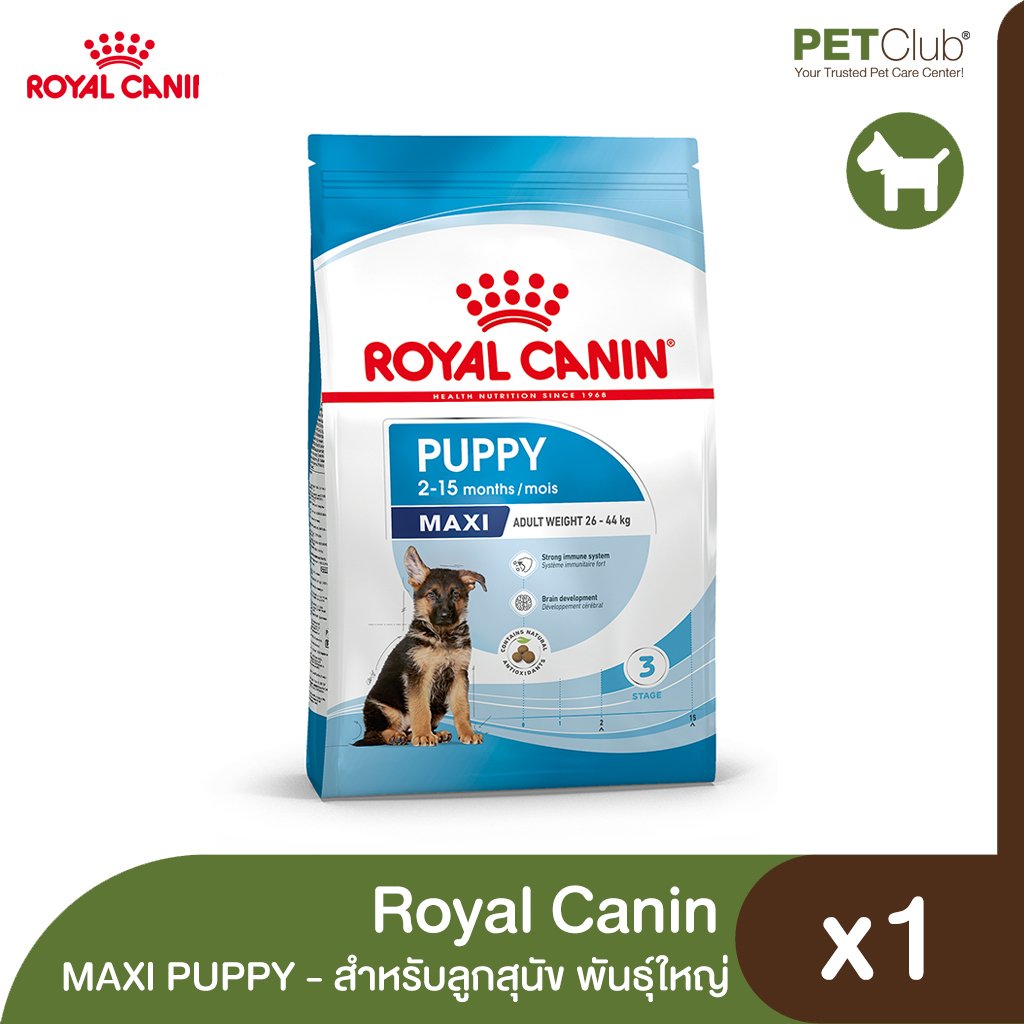 Royal Canin - Maxi Puppy อาหารเม็ดสำหรับลูกสุนัข พันธุ์ใหญ่