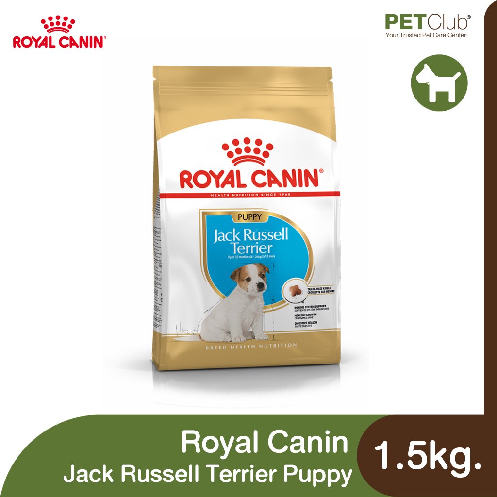 Royal Canin Jack Russell Terrier Puppy - ลูกสุนัข พันธุ์แจ็ค รัสเซลล์ เทอร์เรีย