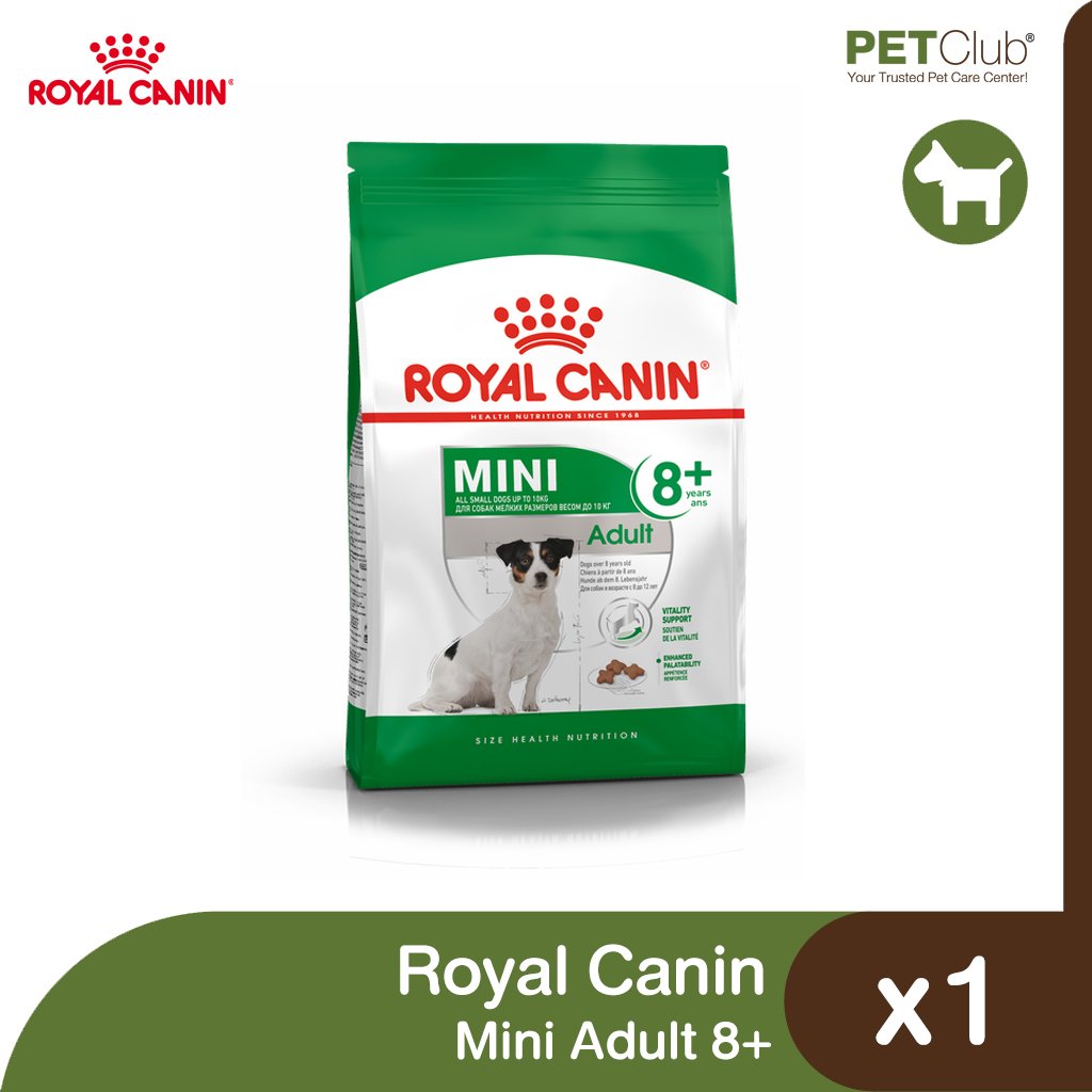 Royal Canin Mini Adult 8+ - สุนัขสูงวัย พันธุ์เล็ก อายุ 8 ปีขึ้นไป