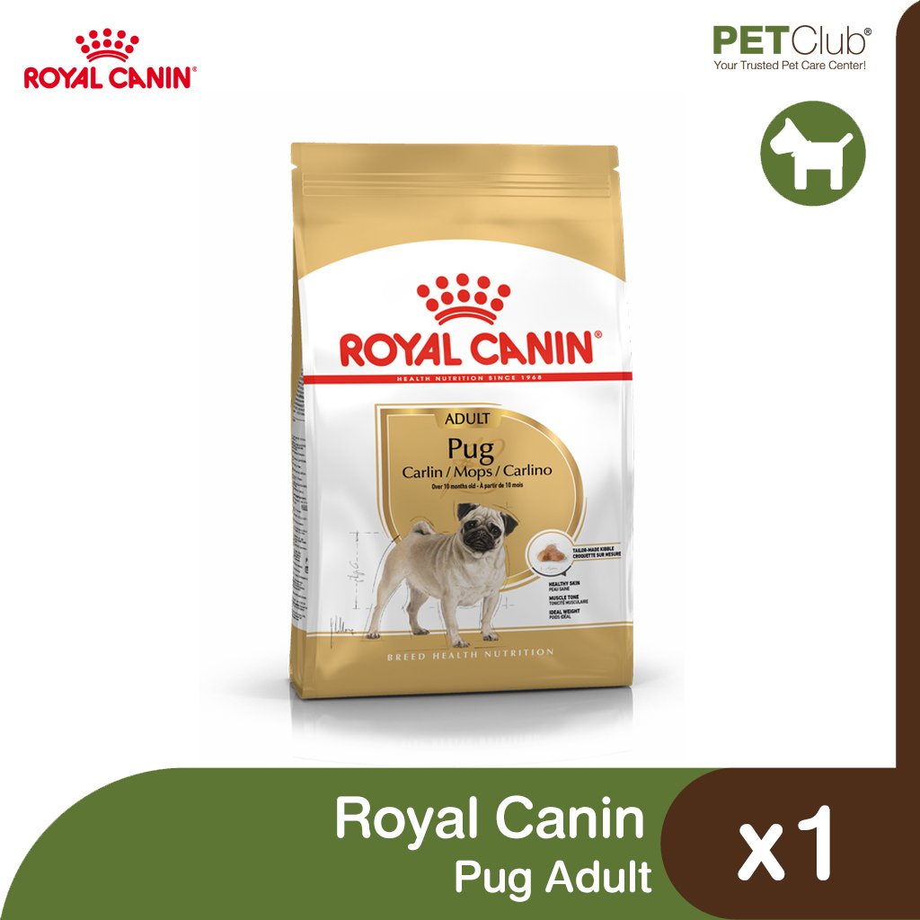 Royal Canin Pug Adult - สำหรับสุนัขโต พันธุ์ปั๊ก