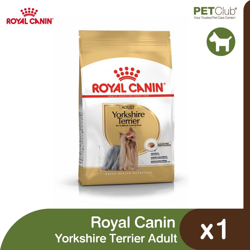 Royal canin clearance yorkshire