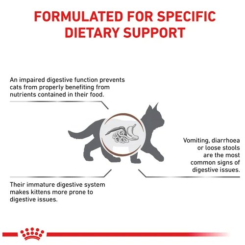 Royal Canin Veterinary Cat - Gastrointestinal Kitten - petclub