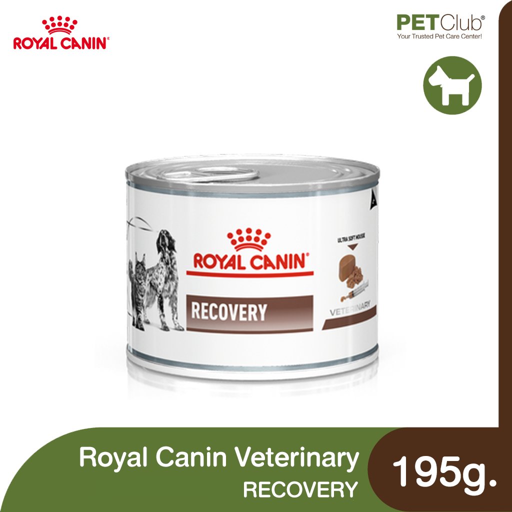 Royal Canin Vet Dog And Cat Recovery 