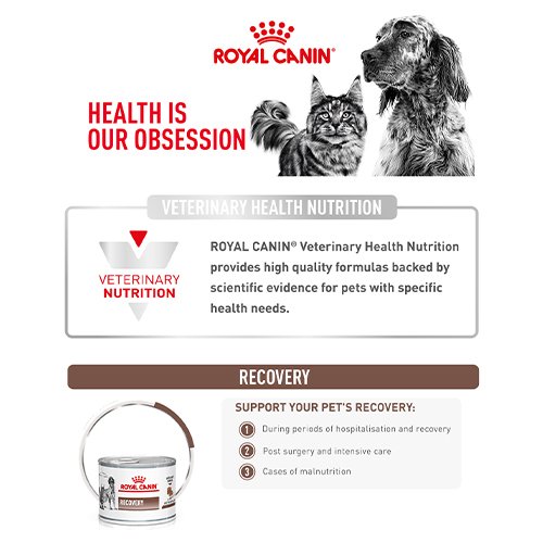 royal canin convalescence cat