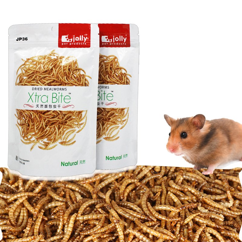 jolly Xtra Bite Dried Mealworms