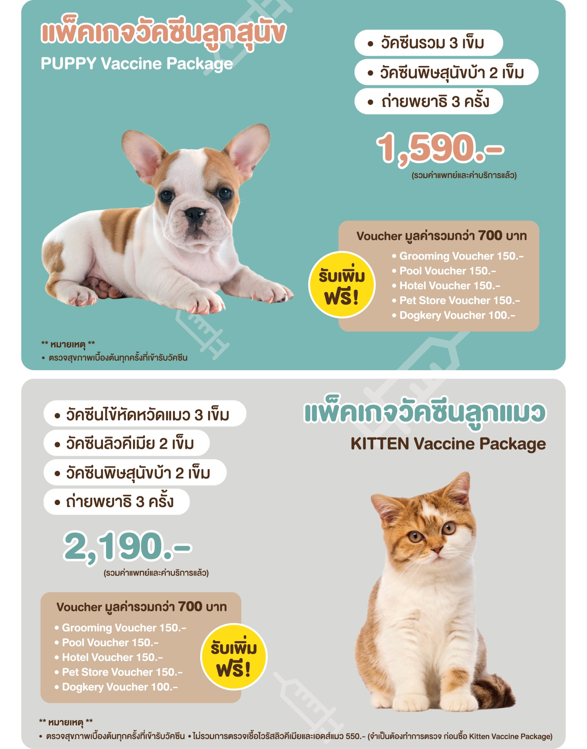 แพ็คเกจทำวัคซีนแมวและสุนัขราคาสุดคุ้ม