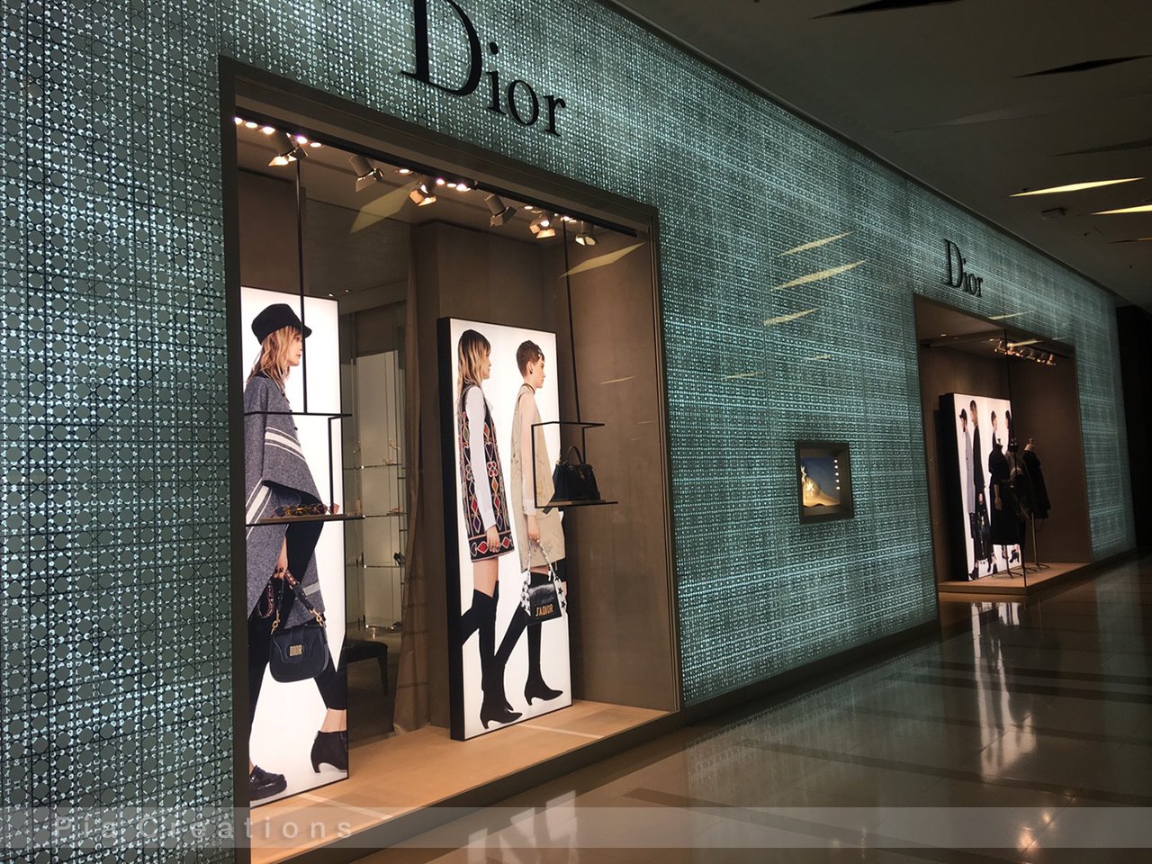 Dior FALL 2017