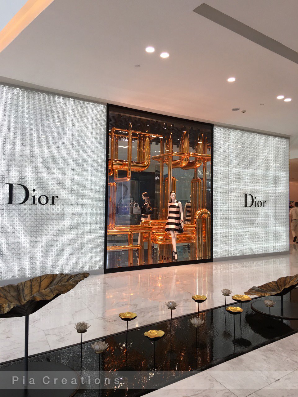 Dior Connexions Windows Summer Collections Feb- May 2016