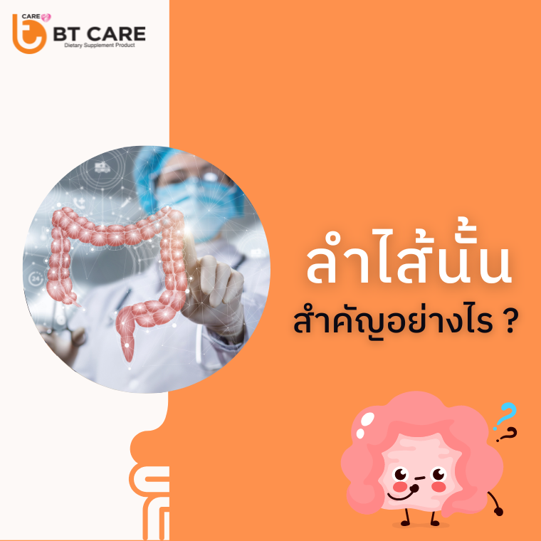 ลำไส้นั้น สำคัญอย่างไร? ลำไส้นั้น สำคัญอย่างไร?