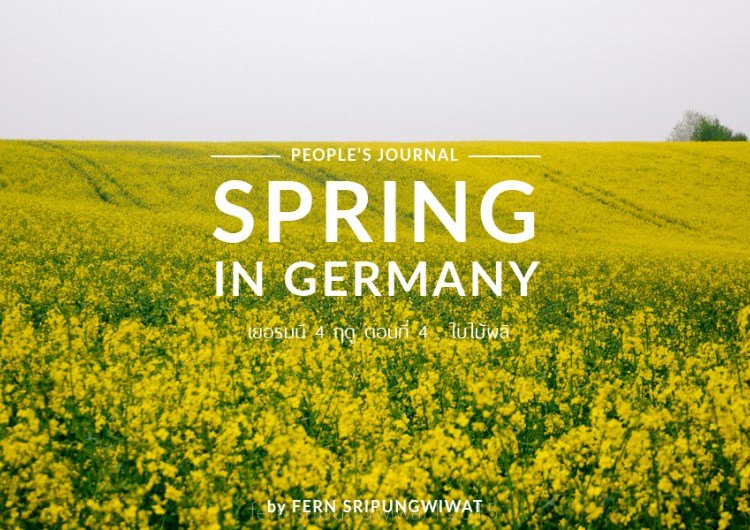 Spring in Germany เยอรมนี 4 ฤดู ตอนที่4 : ฤดูใบไม้ผลิ