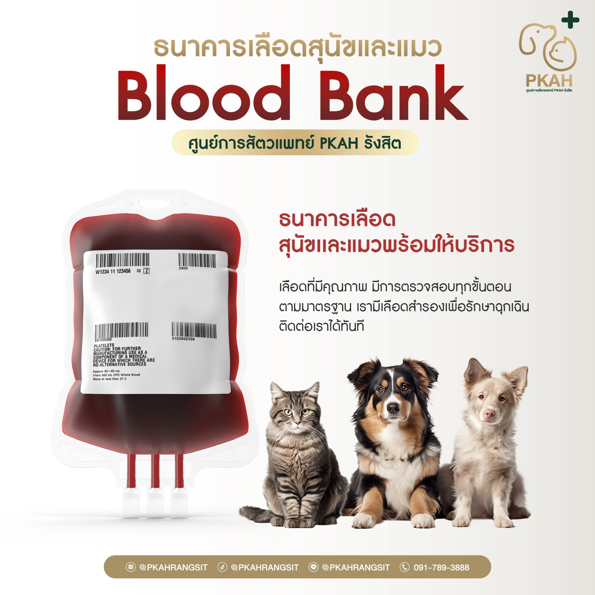  ธนาคารเลือดสุนัขและแมว ศูนย์การสัตวแพทย์ PKAH รังสิต