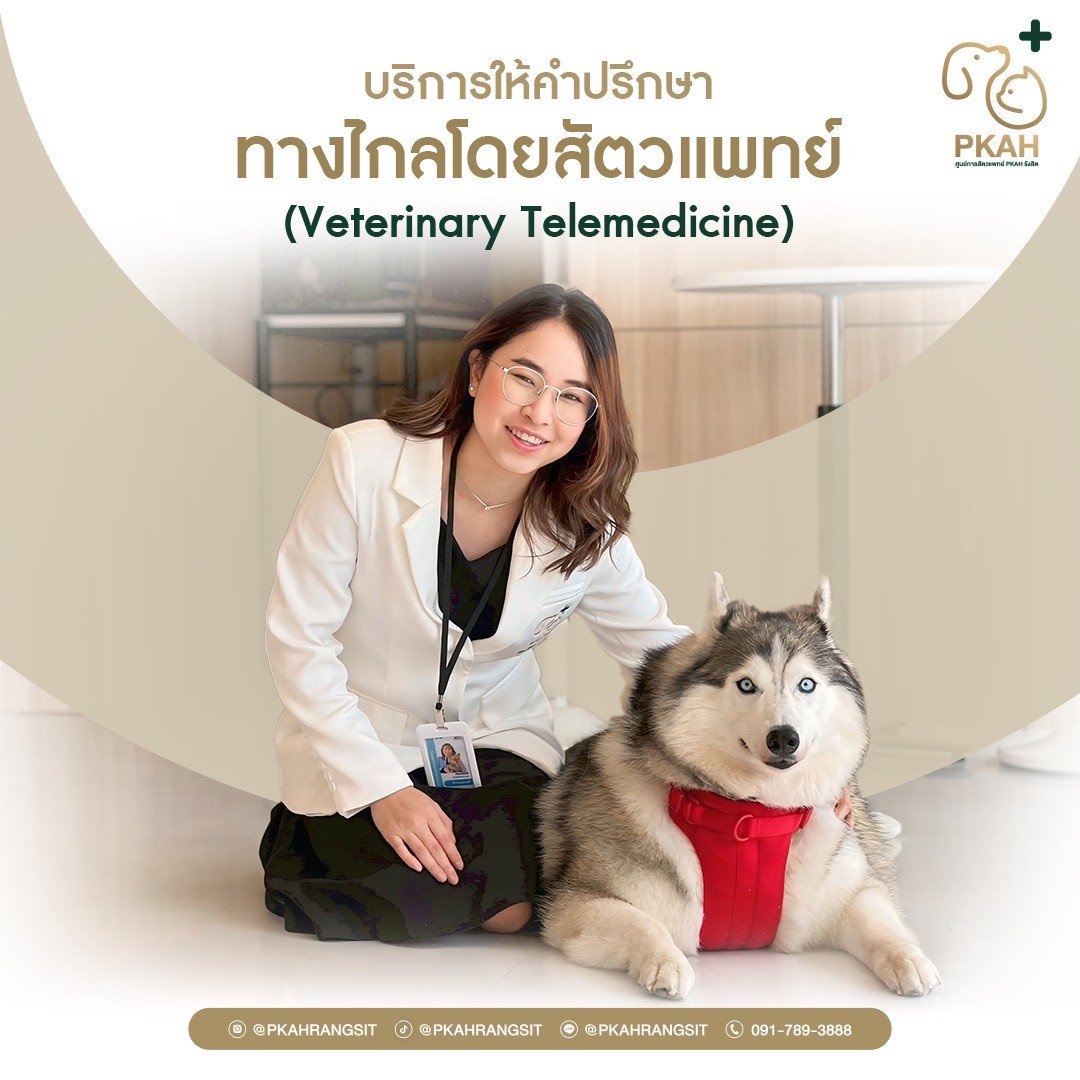 ให้คำปรึกษาโดยสัตวแพทย์ทางไกล