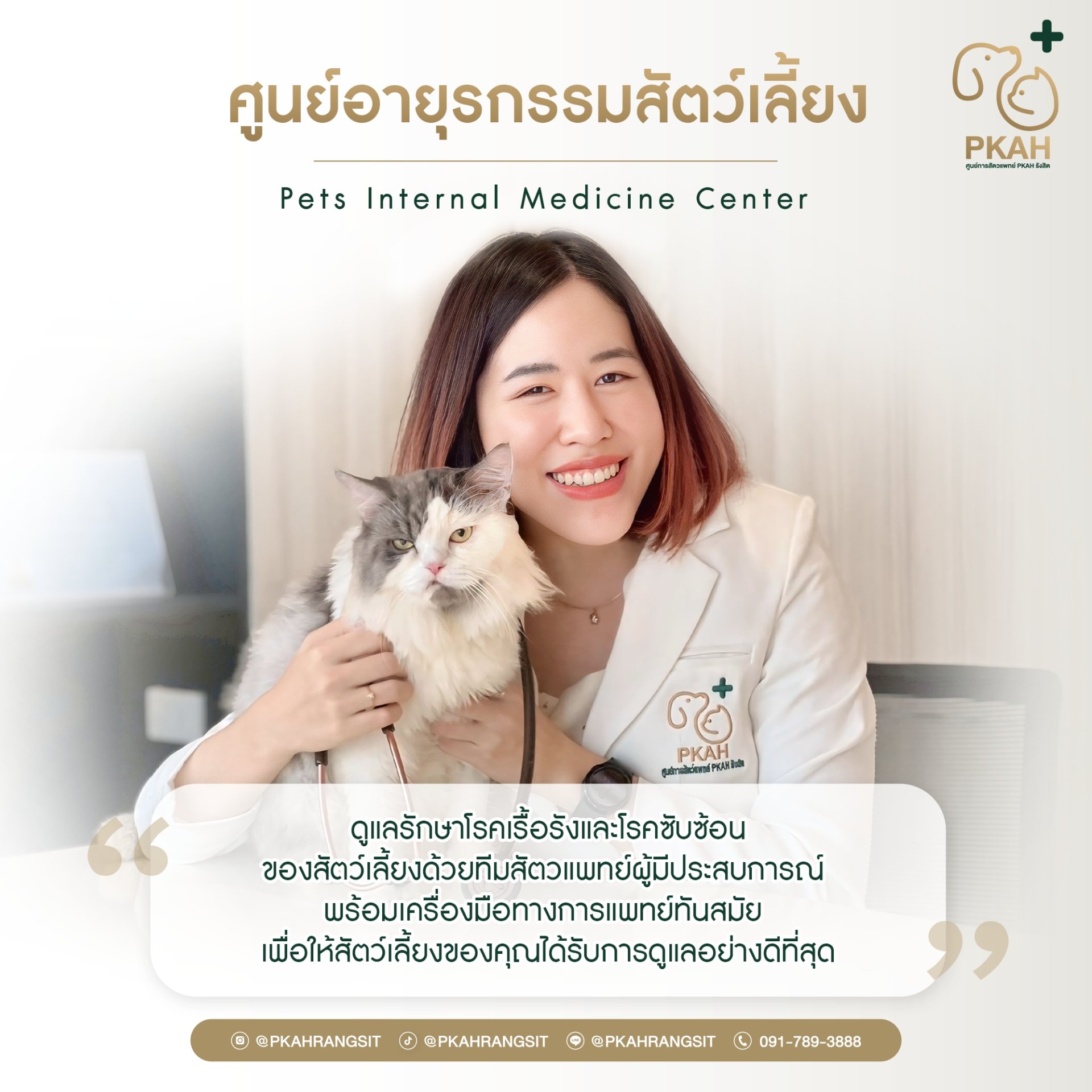 ศูนย์อายุรกรรมสัตว์เลี้ยง Pets Internal Medicine Center