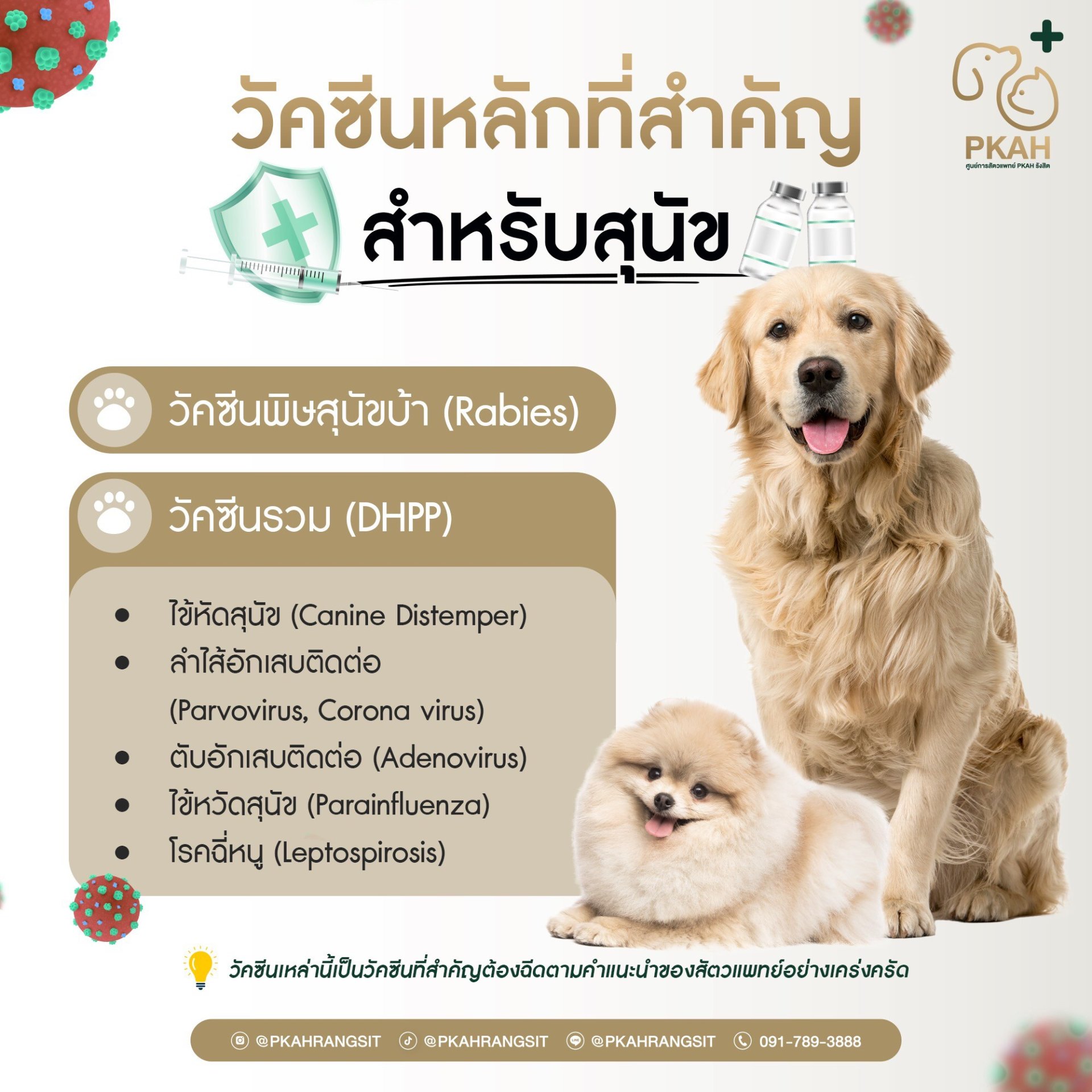 วัคซีนสุนัข