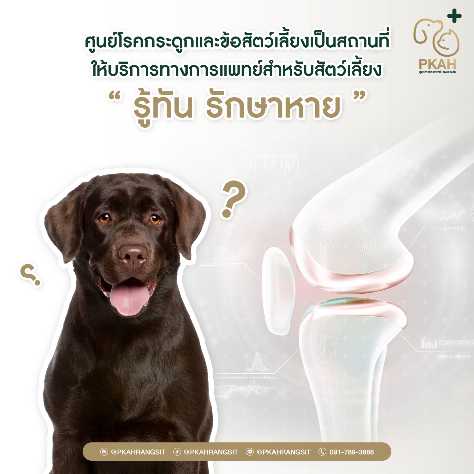 ศูนย์โรคกระดูกและข้อสัตว์เลี้ยง