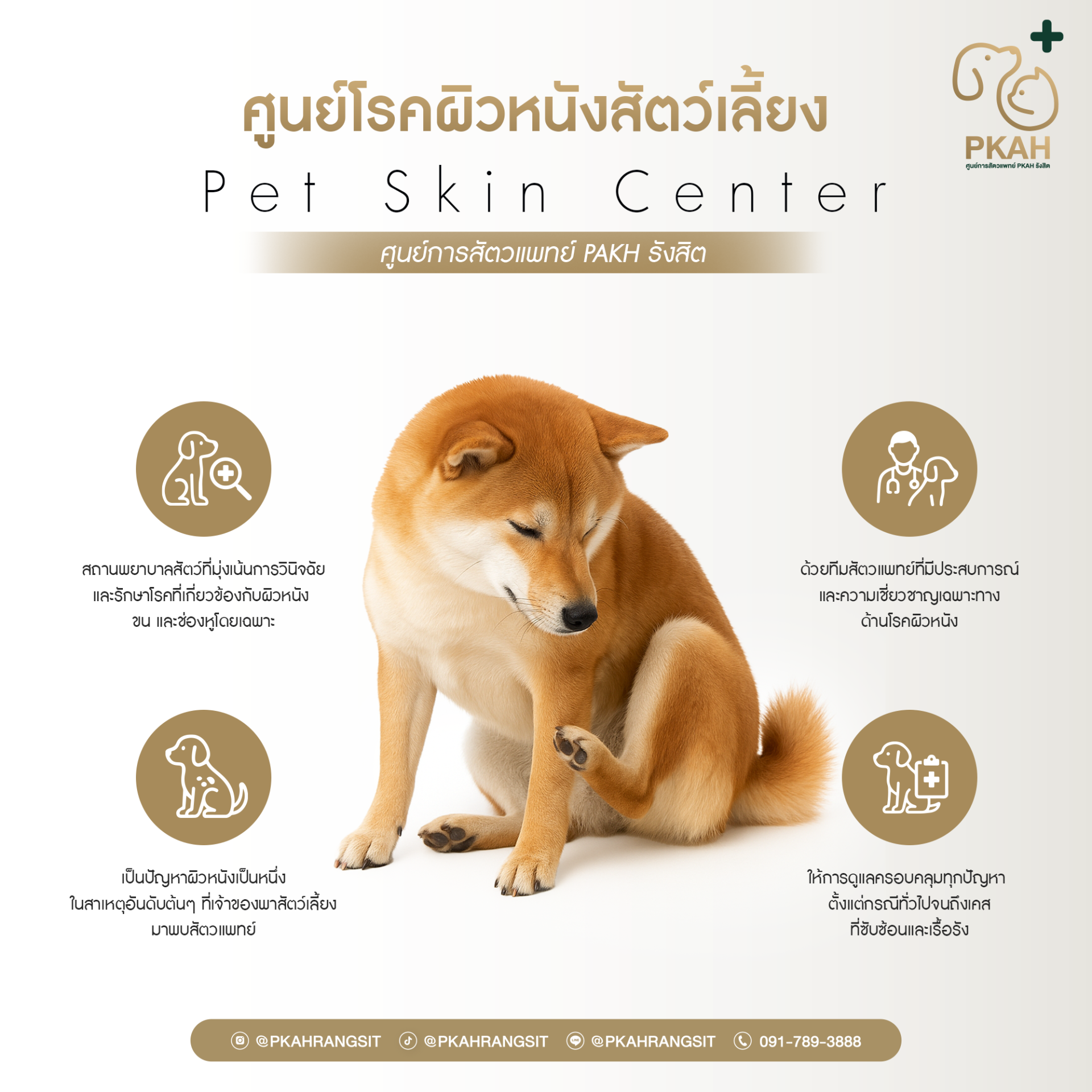 บริการของศูนย์โรคผิวหนังสุนัขแมว - ศูนย์การสัตวแพทย์ PKAH รังสิต