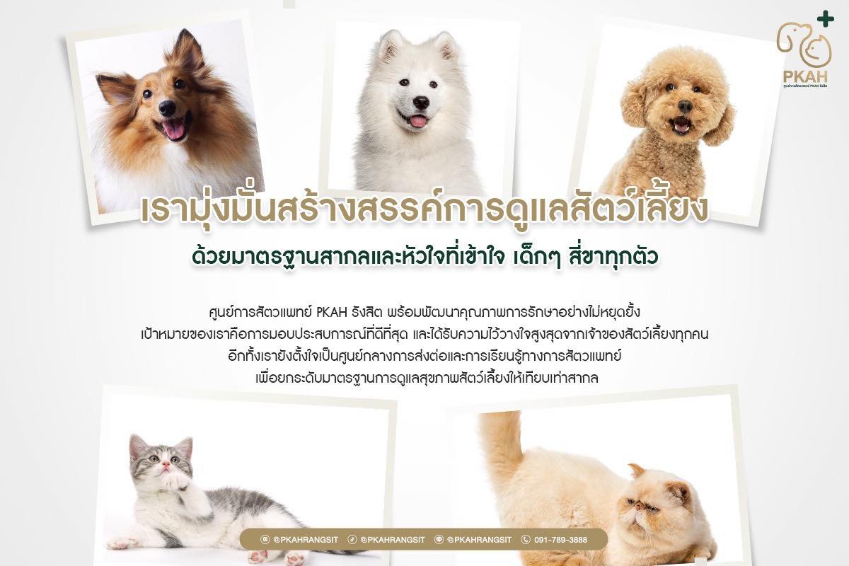 วิสัยทัศน์ พันธกิจ ศูนย์การสัตวแพทย์ PKAH รังสิต