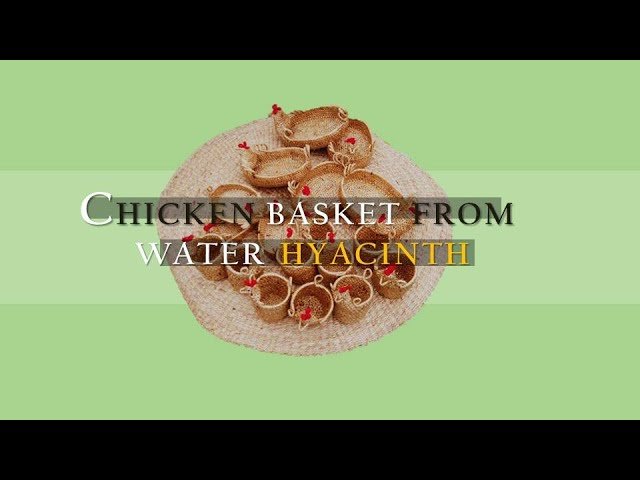 Pick A Craft Channel - ตระกร้าไก่สานผักตบชวา  Pick A Craft Channel - ตระกร้าไก่สานผักตบชวา