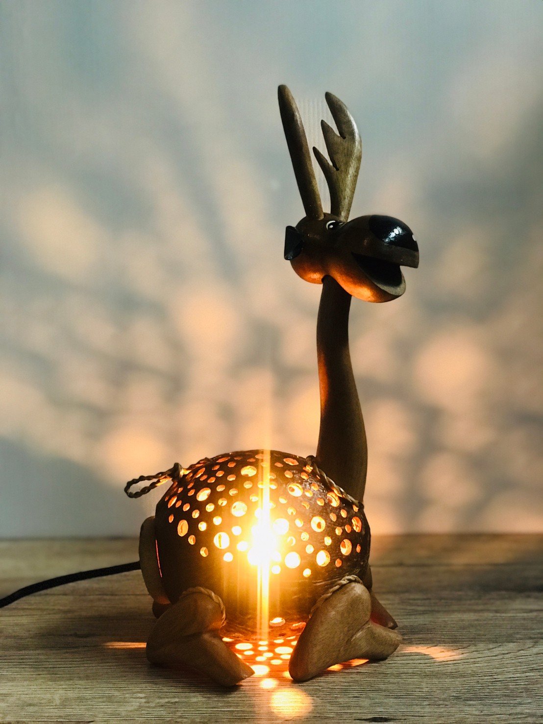 Lamp from coconut shell - Dear