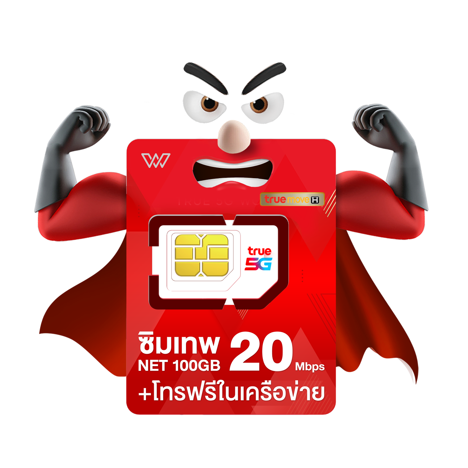 ซิมเทพ 30Mbps 100GB ซิมรายปี