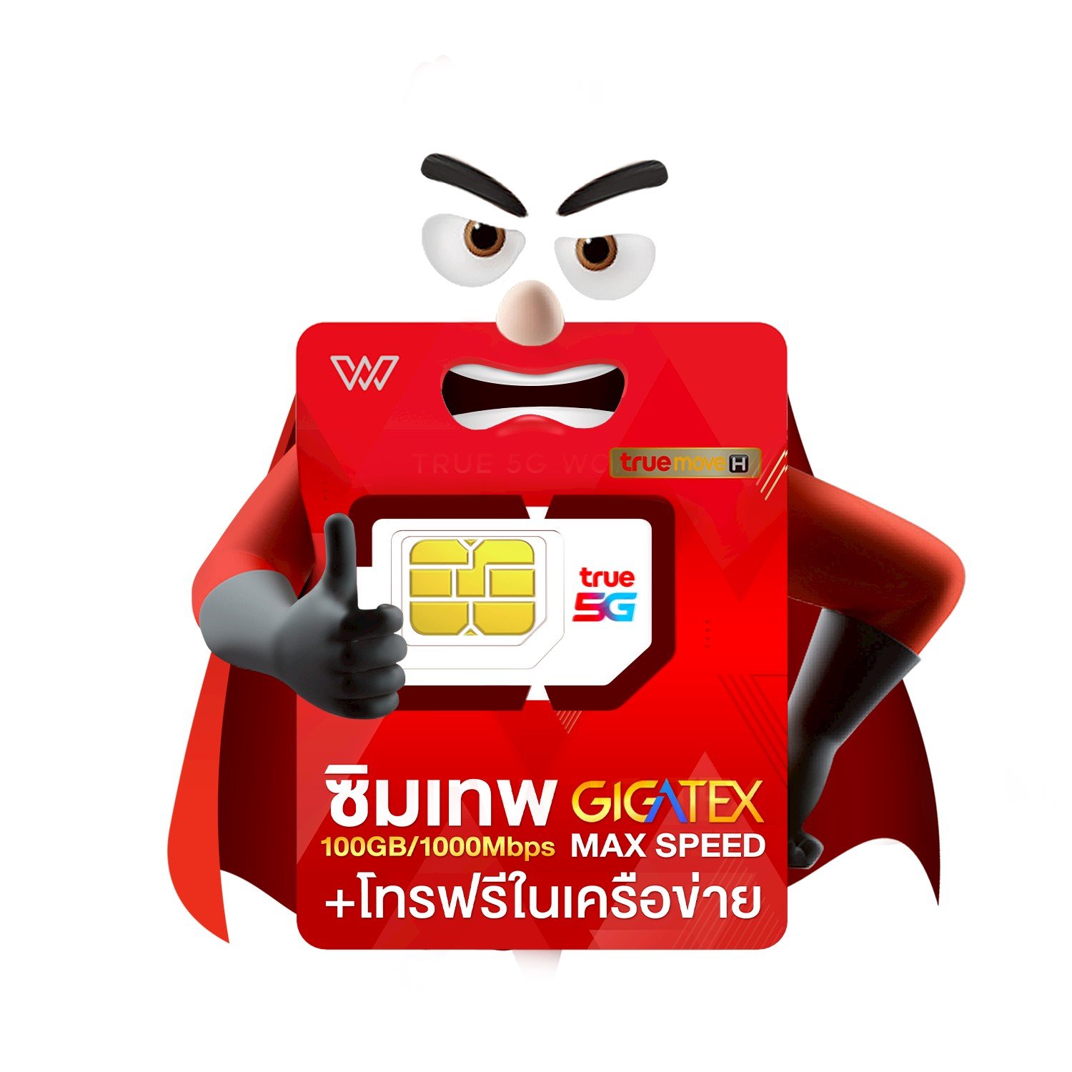 ซิมเทพ MAX100 ซิมรายปี