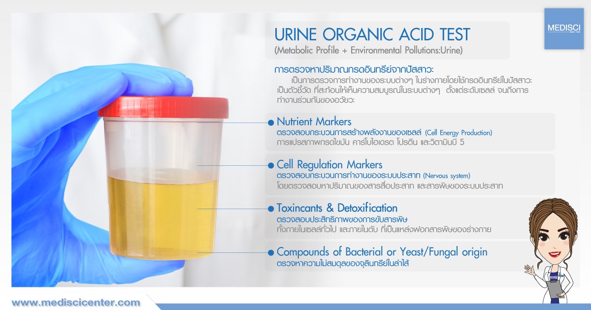 urine organic acid test