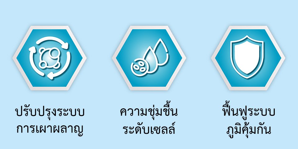 มะเร็งตับอ่อนท่อน้ำดี มะเร็งปอด มะเร็งปากมดลูก มะเร็งเต้านม  มะเร็งลําไส้ใหญ่ การรักษามะเร็งระยะสุดท้าย รักษามะเร็งระยะระยะ 4 วิธีการรักษามะเร็งระยะ 4 วิธีการรักษามะเร็ง