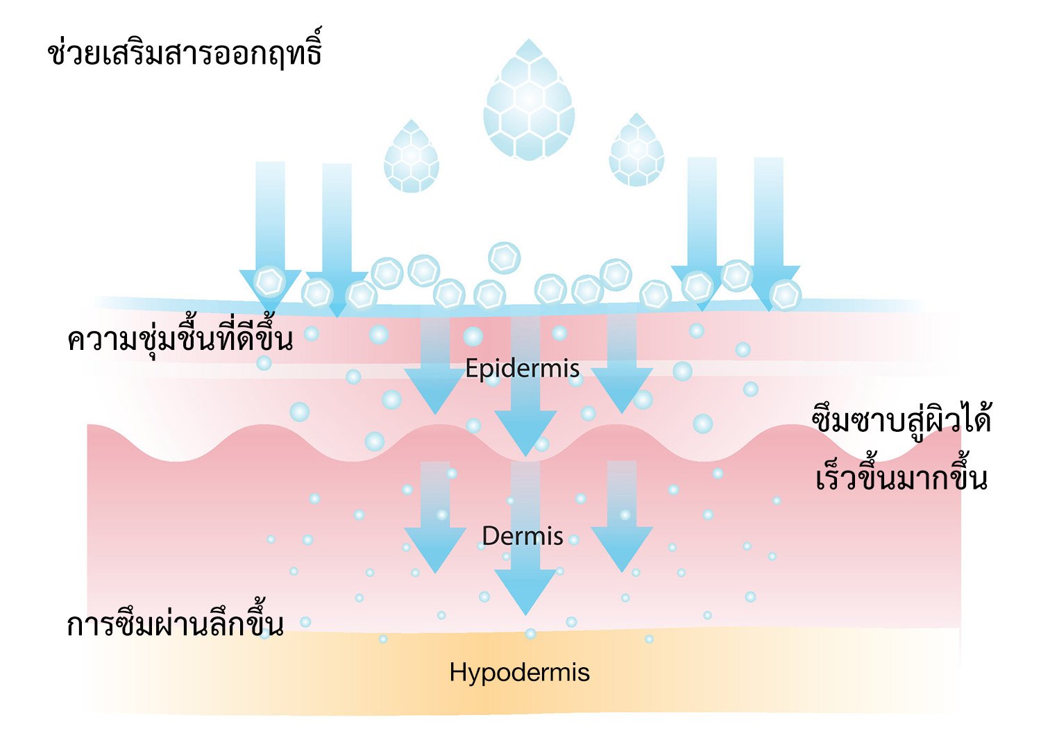 เซรั่มผิวหน้าขาวยี่ห้อไหนดี เซรั่มหน้าใสยี่ห้อไหนดี เซรั่มหน้าขาวยี่ห้อไหนดี เซรั่มลดฝ้ายี่ห้อไหนดี ทํายังไงให้หน้าใสไร้สิว เซรั่มลดสิวยี่ห้อไหนดี เซรั่มลดสิวที่ดีที่สุด ลดริ้วรอยที่ดีที่สุด เซรั่มลดรอยดํายี่ห้อไหนดี