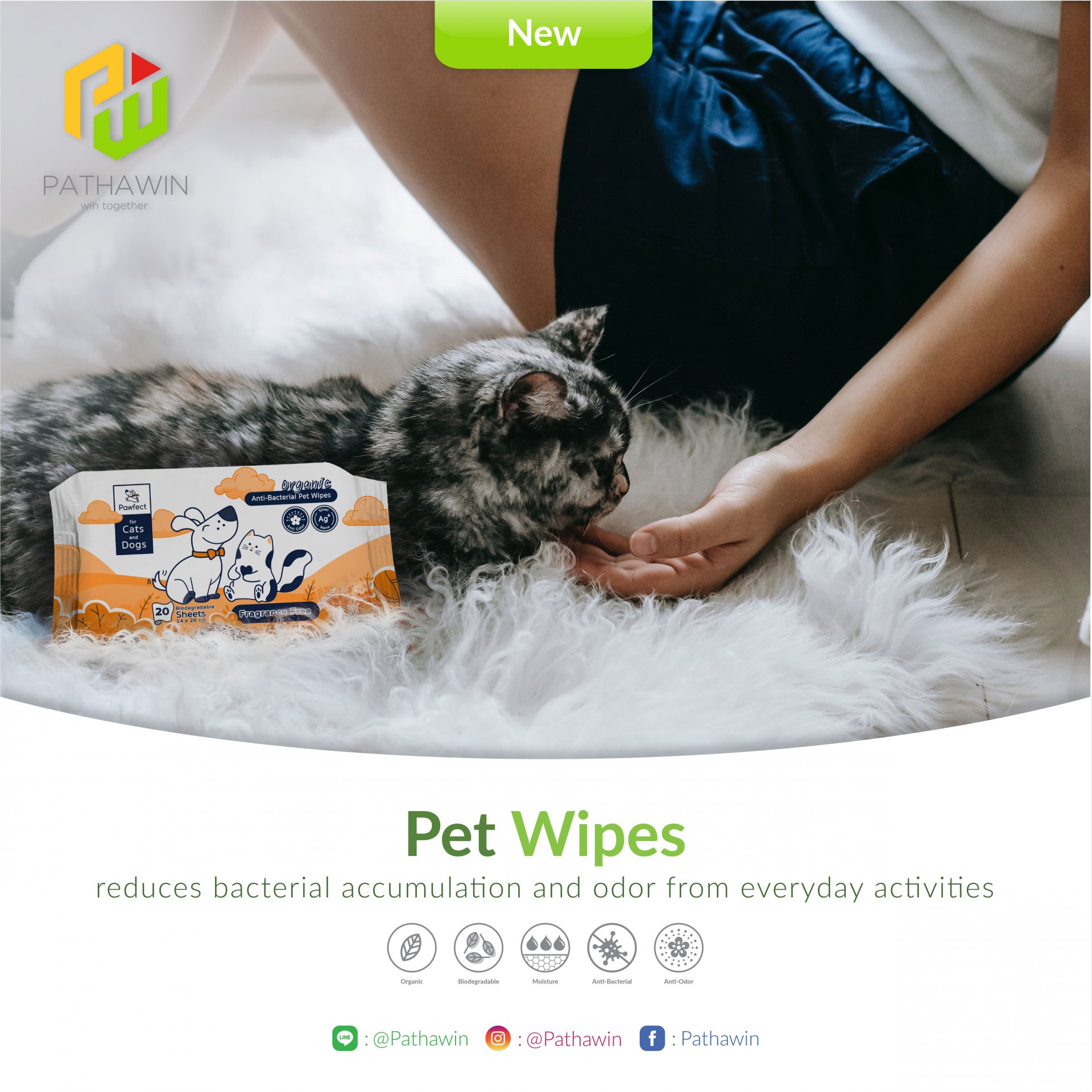 Organic Anti-Bacterial Pet Wipes