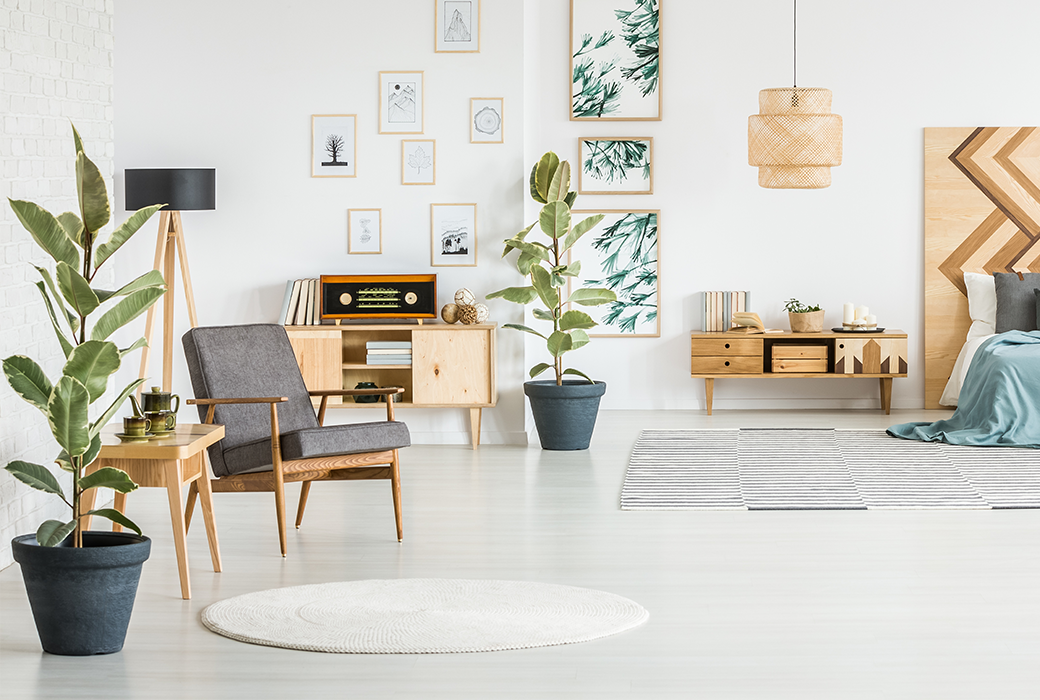 Plant for Decoration