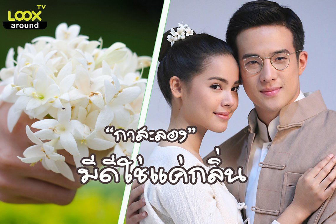 “กาสะลอง”  มีดีใช่แค่กลิ่น  “กาสะลอง”  มีดีใช่แค่กลิ่น