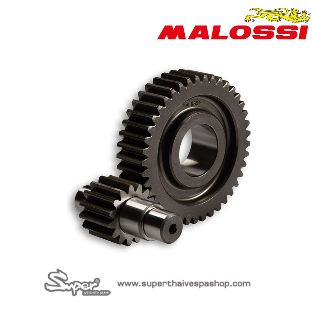 THE MALOSSI GEARBOX 15/41 TEETH