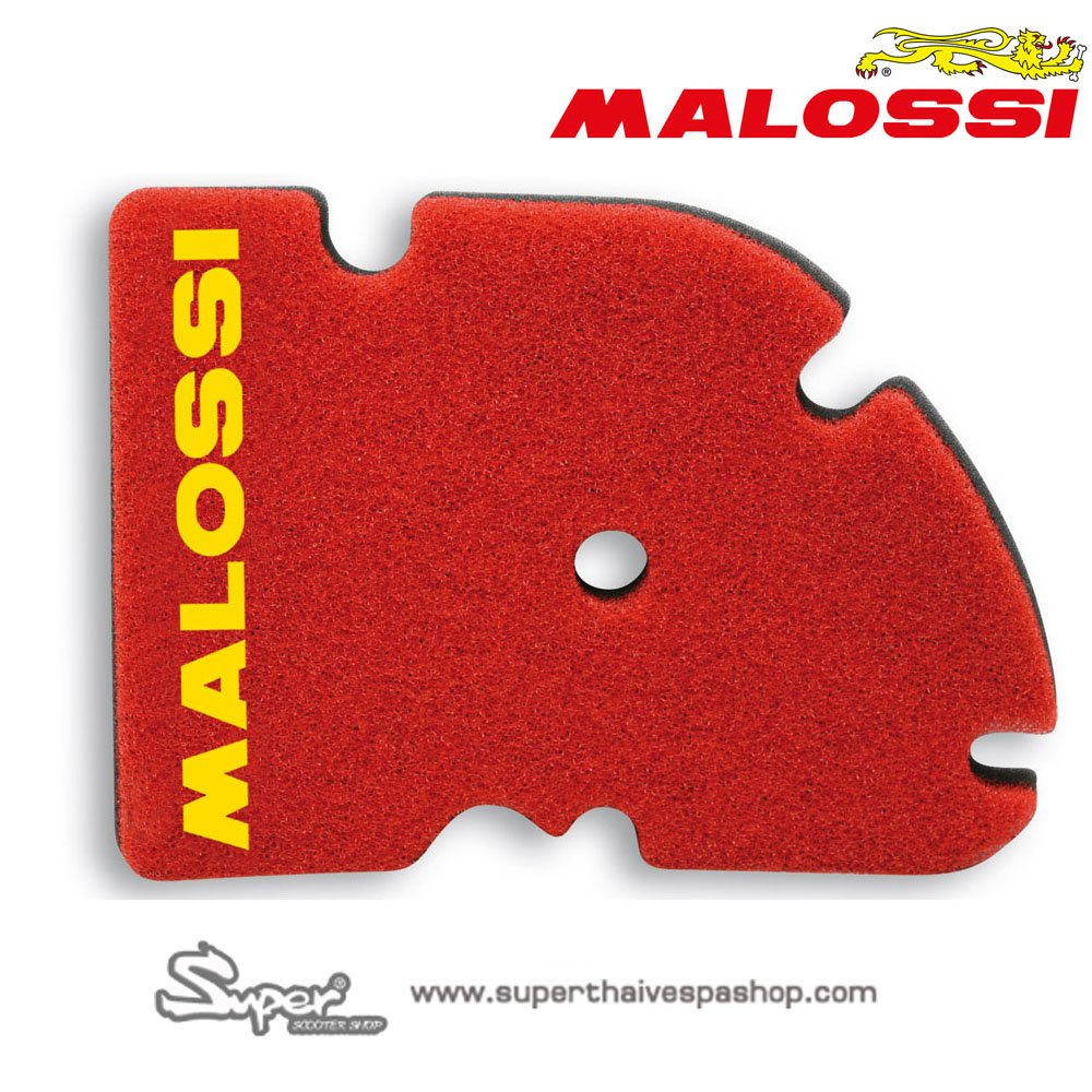 THE MALOSSI AIR FILTER GTS 300