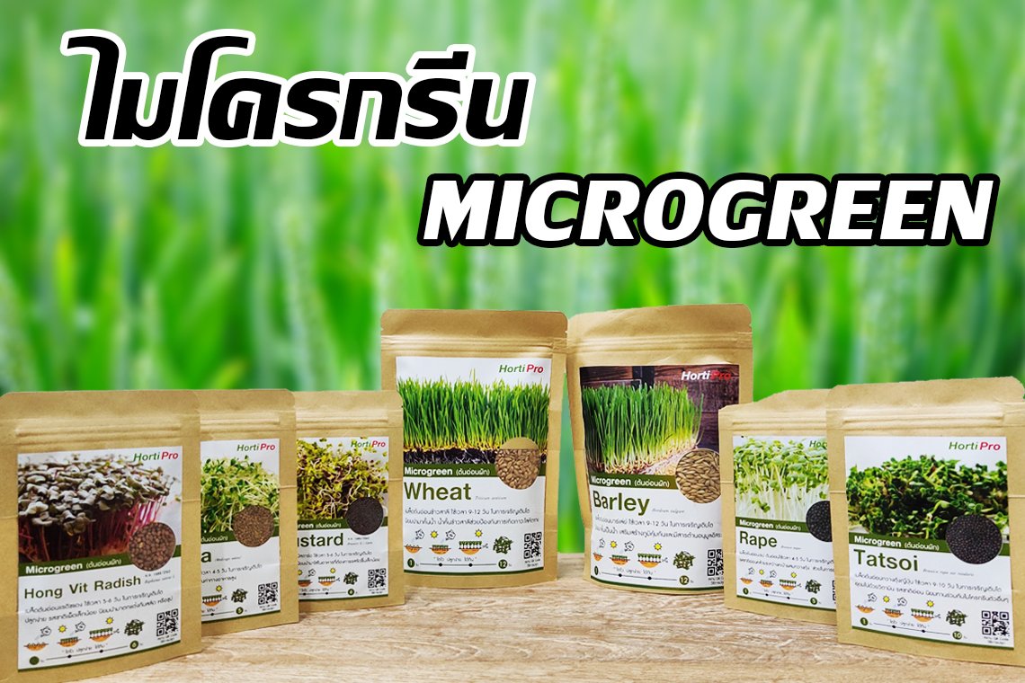 วิธีการปลูกไมโครกรีน (Microgreen)